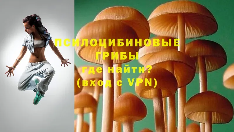 даркнет сайт  Апатиты  mega ссылки  Галлюциногенные грибы Psilocybe 